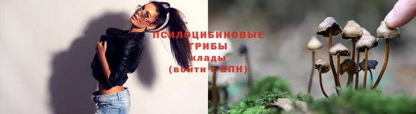 apvp Краснослободск