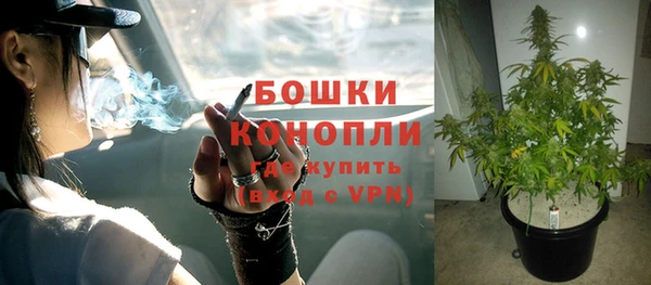 apvp Краснослободск
