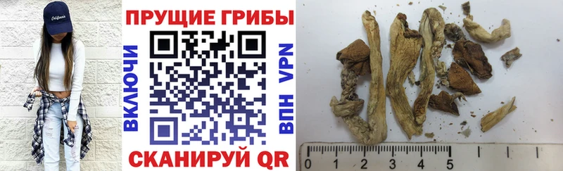 Галлюциногенные грибы мицелий  Пермь 